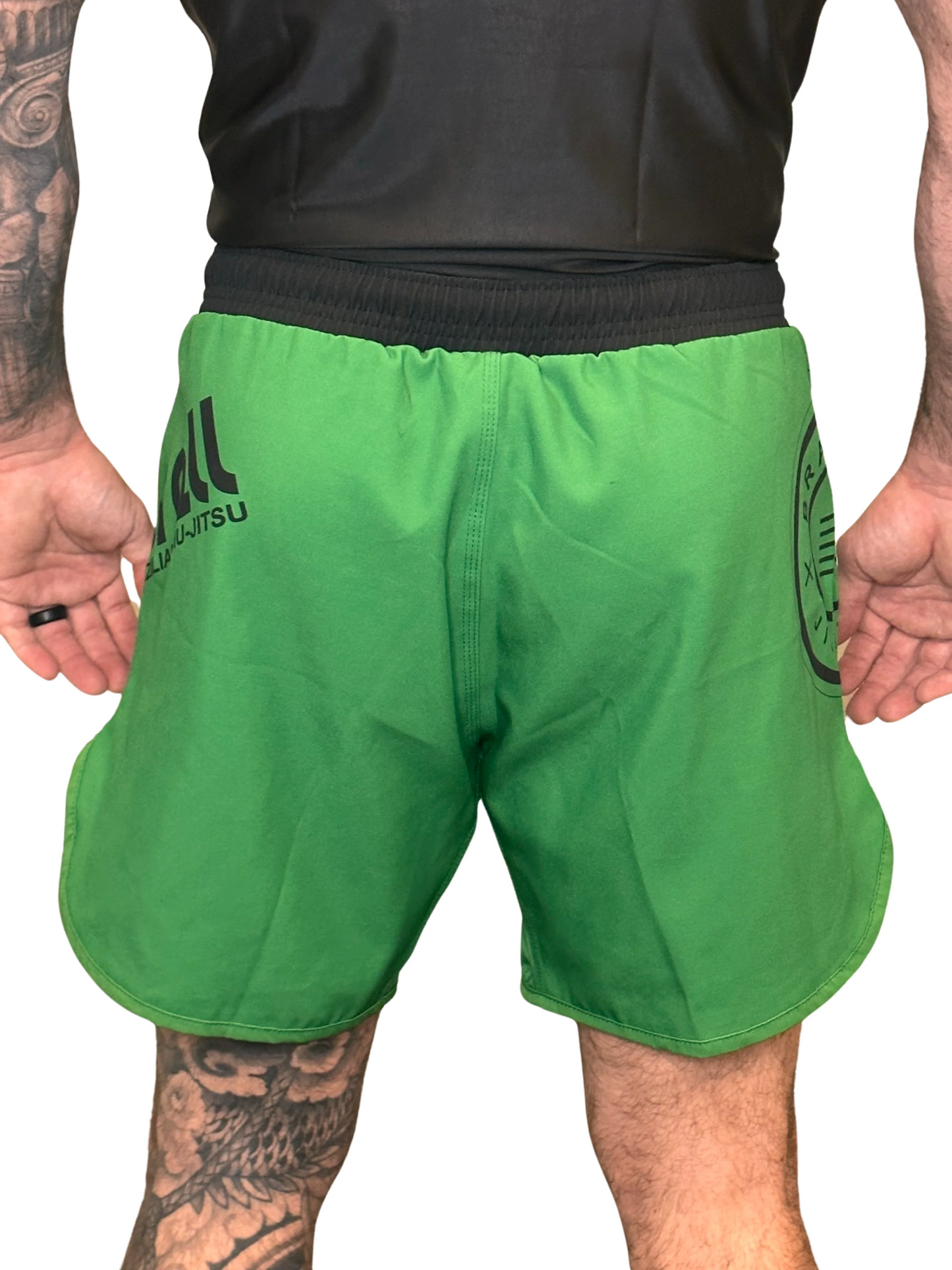 Epic Grappling Shorts 2.0 (Elastic Waistband) Sage
